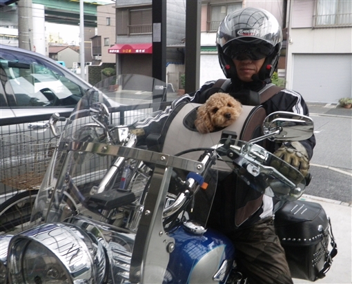 リュック バイクとワンコとカメ